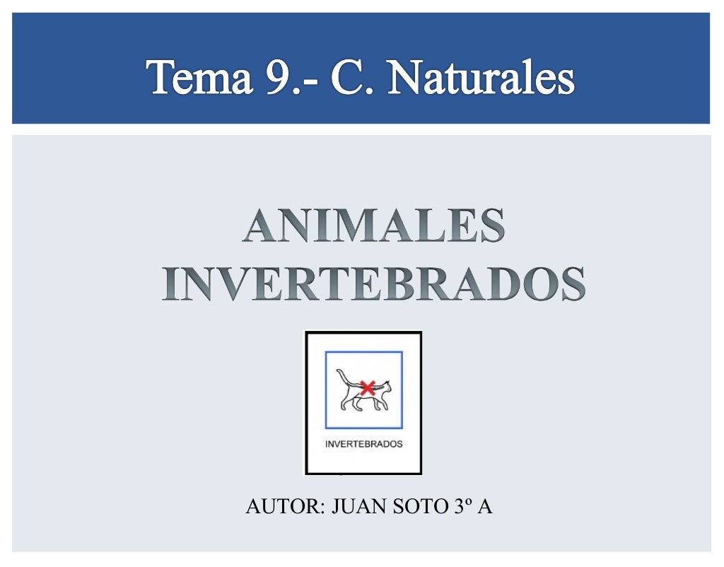 AUTOR: JUAN SOTO 3º A