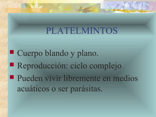 PLATELMINTOS
 Cuerpo blando y plano.
 Reproducción: ciclo complejo
 Pueden vivir libremente en medios
acuáticos o ser parásitas.
 