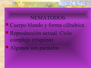 NEMATODOS
 Cuerpo blando y forma cilíndrica
 Reproducción sexual. Ciclo
complejo (triquina)
 Algunos son parásitos.
 