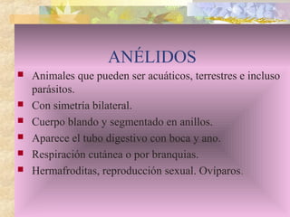 ANÉLIDOS
 Animales que pueden ser acuáticos, terrestres e incluso
parásitos.
 Con simetría bilateral.
 Cuerpo blando y segmentado en anillos.
 Aparece el tubo digestivo con boca y ano.
 Respiración cutánea o por branquias.
 Hermafroditas, reproducción sexual. Ovíparos.
 