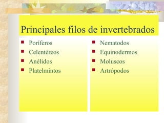 Principales filos de invertebrados
 Poríferos
 Celentéreos
 Anélidos
 Platelmintos
 Nematodos
 Equinodermos
 Moluscos
 Artrópodos
 