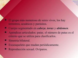 ARTRÓPODOS
 El grupo más numeroso de seres vivos, los hay
terrestres, acuáticos y parásitos.
 Cuerpo segmentado en cabeza, torax y abdomen.
 Apéndices articulados: patas. el número de patas es el
criterio que se utiliza para clasificarlos.
 Simetría bilateral.
 Exoesqueleto que mudan periódicamente.
 Reproducción sexual. Ovíparos.
 