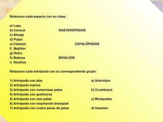 Relaciona cada especie con su clase:
a) Lapa
b) Caracol GASTERÓPODOS
c) Almeja
d) Pulpo
e) Calamar CEFALÓPODOS
f) Mejillón
g) Ostra
h) Babosa BIVALVOS
i) Nautilus
 
Relaciona cada artrópodo con su correspondiente grupo:
1) Artrópodo con alas a) Arácnidos
2) Artrópodo marino
3) Artrópodo con numerosas patas b) Crustáceos
4) Artrópodo con quelíceros
5) Artrópodo con seis patas c) Miriápodos
6) Artrópodo con respiración branquial
7) Artrópodo con cuatro pares de patas d) Insectos
 