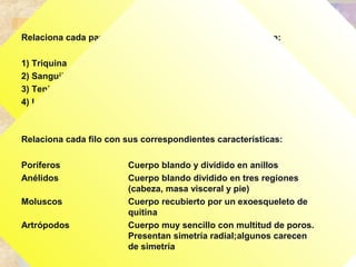 Relaciona cada parásito con su filo o grupo correspondiente:
1) Triquina a) Anélidos
2) Sanguijuela b) Platelmintos
3) Tenia c) Nematodos
4) Lombriz intestinal
Relaciona cada filo con sus correspondientes características:
Poríferos Cuerpo blando y dividido en anillos
Anélidos Cuerpo blando dividido en tres regiones
(cabeza, masa visceral y pie)
Moluscos Cuerpo recubierto por un exoesqueleto de
quitina
Artrópodos Cuerpo muy sencillo con multitud de poros.
Presentan simetría radial;algunos carecen
de simetría
 