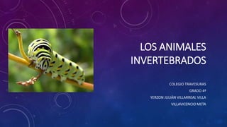 LOS ANIMALES
INVERTEBRADOS
COLEGIO TRAVESURAS
GRADO 4ª
YERZON JULIÁN VILLARREAL VILLA
VILLAVICENCIO META
 