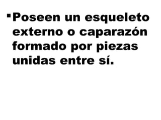 Poseen un esqueleto
externo o caparazón
formado por piezas
unidas entre sí.
 