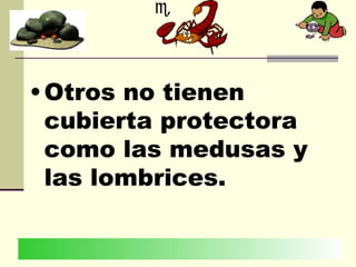 • Otros no tienen
cubierta protectora
como las medusas y
las lombrices.
 