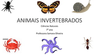 ANIMAIS INVERTEBRADOS
Ciências Naturais
7⁰ ano
Professora Samara Oliveira
 
