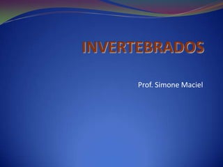 Prof. Simone Maciel
 