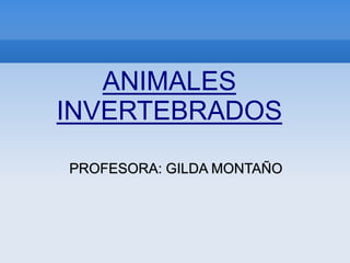 ANIMALES
INVERTEBRADOS
PROFESORA: GILDA MONTAÑO
 