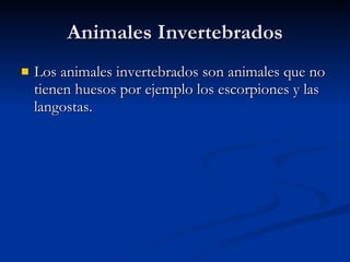 Animales Invertebrados Los animales invertebrados son animales que no tienen huesos por ejemplo los escorpiones y las langostas. 