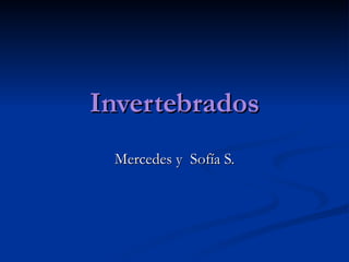 Invertebrados Mercedes y  Sofía S. 