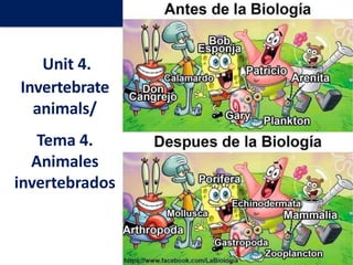 Unit 4.
Invertebrate
animals/
Tema 4.
Animales
invertebrados
 