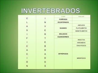 C
L
A
S
I
F
I
C
A
C
I
Ó
N
I
N
V
E
R
T
E
B
R
A
D
O
S
CLASES SUBCLASES
PORÍFEROS
CELENTERADOS
GUSANOS
ANÉLIDOS
PLATELMINTOS
NEMATELMINTOS
MOLUSCOS
EQUINODERMOS
ARTRÓPODOS
INSECTOS
ARÁCNIDOS
CRUSTÁCEOS
MIRIÁPODOS
 