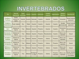 Filo
Nivel de
organización
Capas
germinales
Simetría Esqueleto Cefalización
Cavidad
corporal
Segmentación
Sistema
digestivo
Reproducción
Porifera o
Poríferos
Celular,
carecen de
tejidos
Ausente Ausente Espículas Ausente Ausente Ausente Intracelular
Sexual; asexual
(gemación)
Cnidaria o
Celentéreos
Tisular (tejidos) Dos Radial Ausente Ausente Ausente Ausente
Cavidad
gastrovascular
Sexual; asexual
(gemación)
Platyhelminth
es o
Platelmintos
Sistema de
órganos
Tres Bilateral Ausente Presente Ausente Ausente
Únicamente
boca
Hermafroditismo
Nematoda o
Nematodos
Sistema de
órganos
Tres Bilateral Ausente Presente Pseudoceloma Ausente
Boca y ano
separados
Sexual
Annelida o
Anélidos
Sistema de
órganos
Tres Bilateral Ausente Presente Celoma Presente
Boca y ano
separados
Sexual
Arthropoda o
Artrópodos
Sistema de
órganos
Tres Bilateral Quitina Presente Celoma Presente
Boca y ano
separados
Sexual
Mollusca o
Moluscos
Sistema de
órganos
Tres Bilateral Ausente Presente Celoma Ausente
Boca y ano
separados
Sexual
Chordata o
Cordados
Sistema de
órganos
Tres Bilateral
Cartilaginos
o u óseo
Presente Celoma
Presente
(reducida)
Boca y ano
separados
Sexual; (también
hay asexual en
urocordados)
 