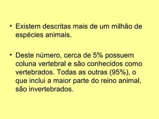 • Existem descritas mais de um milhão de 
espécies animais. 
• Deste número, cerca de 5% possuem 
coluna vertebral e são conhecidos como 
vertebrados. Todas as outras (95%), o 
que inclui a maior parte do reino animal, 
são invertebrados. 
 