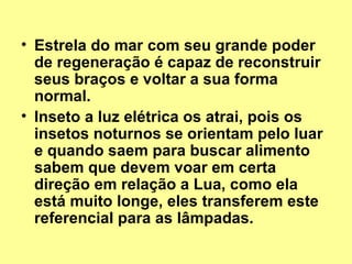 • Estrela do mar com seu grande poder 
de regeneração é capaz de reconstruir 
seus braços e voltar a sua forma 
normal. 
• Inseto a luz elétrica os atrai, pois os 
insetos noturnos se orientam pelo luar 
e quando saem para buscar alimento 
sabem que devem voar em certa 
direção em relação a Lua, como ela 
está muito longe, eles transferem este 
referencial para as lâmpadas. 
 