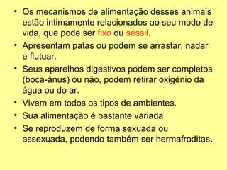 • Os mecanismos de alimentação desses animais 
estão intimamente relacionados ao seu modo de 
vida, que pode ser fixo ou séssil. 
• Apresentam patas ou podem se arrastar, nadar 
e flutuar. 
• Seus aparelhos digestivos podem ser completos 
(boca-ânus) ou não, podem retirar oxigênio da 
água ou do ar. 
• Vivem em todos os tipos de ambientes. 
• Sua alimentação é bastante variada 
• Se reproduzem de forma sexuada ou 
assexuada, podendo também ser hermafroditas. 
 