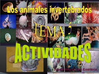Los animales invertebrados TEMA 5 ACTIVIDADES Josefa Hoyos San Emeterio 