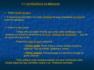 2.2. OS PÓLIPOS E AS MEDUSAS


 Teñen forma de saco.
 A maioría son mariños e ou viven flotando na auga (medusas) ou fixos no
sustrato (pólipos).


 Como é o seu corpo:
        - Teñen unha cavidade interna que actúa como estómago e que
comunica co exterior mediante un orificio rodeado de tentáculos   que fai
as veces de boca e ano.
         - Presentan dúas formas corporais:
                 + Forma pólipo: Viven fixos e a boca sitúase na parte
                 superior. Son as hidras, anémonas, corais...
                 + Forma medusa: Flotan nauaga e a súa boca sitúase na
                 parte inferior.
         - Tanto pólipos como medusas posúen nos seus tentáculos unha
células especiais que conteñen veleno e un filamento enrolado.
 
