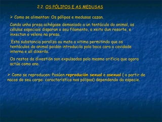 2.2. OS PÓLIPOS E AS MEDUSAS

  Como se alimentan: Os pólipos e medusas cazan.
 Cando unha presa achégase demasiado a un tentáculo do animal, as
 células especiais disparan o seu filamento, a xeito dun resorte, e
 inxectan o veleno na presa.
  Esta substancia paraliza ou mata a vitima permitindo que os
 tentáculos do animal poidan introducila pola boca cara a cavidade
 interna e alí dixerila.
 Os restos da dixestión son expulsados polo mesmo orificio que agora
 actúa como ano.

 Como se reproducen: Posúen reprodución sexual e asexual ( a partir de
nacos do seu corpo: característico nos pólipos) dependendo da especie.
 