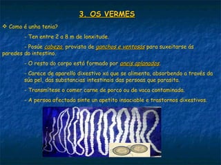 3. OS VERMES
 Como é unha tenia?
        - Ten entre 2 a 8 m de lonxitude.
        - Posúe cabeza provista de ganchos e ventosas para suxeitarse ás
paredes do intestino.
        - O resto do corpo está formado por aneis aplanados.
        - Carece de aparello dixestivo xa que se alimenta, absorbendo a través da
        súa pel, das substancias intestinais das persoas que parasita.
        - Transmítese o comer carne de porco ou de vaca contaminada.
        - A persoa afectada sinte un apetito insaciable e trastornos dixestivos.
 