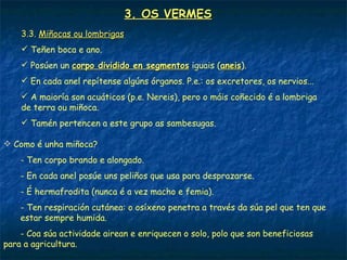 3. OS VERMES
    3.3. Miñocas ou lombrigas
     Teñen boca e ano.
     Posúen un corpo dividido en segmentos iguais (aneis).
                                                    aneis
     En cada anel repítense algúns órganos. P.e.: os excretores, os nervios...
     A maioría son acuáticos (p.e. Nereis), pero o máis coñecido é a lombriga
    de terra ou miñoca.
     Tamén pertencen a este grupo as sambesugas.

 Como é unha miñoca?
    - Ten corpo brando e alongado.
    - En cada anel posúe uns peliños que usa para desprazarse.
    - É hermafrodita (nunca é a vez macho e femia).
    - Ten respiración cutánea: o osíxeno penetra a través da súa pel que ten que
    estar sempre humida.
    - Coa súa actividade airean e enriquecen o solo, polo que son beneficiosas
para a agricultura.
 