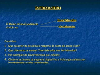 INTRODUCIÓN


                                             Invertebrados
 O Reino Animal podémolo
 dividir en                                   Vertebrados




Cuestións:
1. Que caracteriza ós animais respecto do resto de seres vivos?
2. Que diferenza os animais Invertebrados dos Vertebrados?
3. Pon exemplos de Invertebrados que coñezas.
4. Observa as imaxes da seguinte diapositiva e indica que animais son
   invertebrados e cales vertebrados.
 