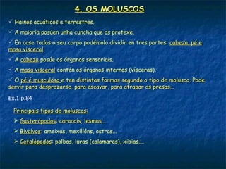 4. OS MOLUSCOS
 Hainos acuáticos e terrestres.
 A maioría posúen unha cuncha que os protexe.
 En case todos o seu corpo podémolo dividir en tres partes: cabeza, pé e
masa visceral.
     visceral
 A cabeza posúe os órganos sensoriais.
 A masa visceral contén os órganos internos (vísceras).
 O pé é musculoso e ten distintas formas segundo o tipo de molusco. Pode
servir para desprazarse, para escavar, para atrapar as presas...

Ex.1 p.84

  Principais tipos de moluscos:
   Gasterópodos: caracois, lesmas...
   Bivalvos: ameixas, mexillóns, ostras...
    Bivalvos
   Cefalópodos: polbos, luras (calamares), xibias....
    Cefalópodos
 