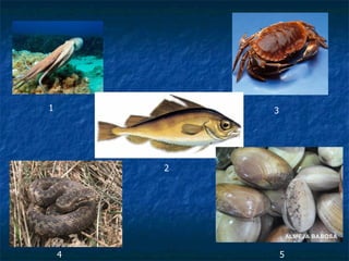 1           3




        2




    4           5
 