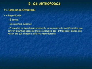 5. OS ARTRÓPODOS
5.1. Como son os Artrópodos?

 A Reprodución:
   - É sexual.
   - Son animais ovíparos.
   - Presentan no seu desenvolvemento un conxunto de modificacións que
   sofren algunhas especies (non é exclusiva dos artrópodos) dende que
   nacen ata que chegan a adultos reprodutores.
 