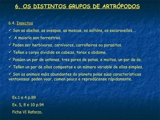 6. OS DISTINTOS GRUPOS DE ARTRÓPODOS


6.4. Insectos
 Son as abellas, as avespas, as moscas, os saltóns, os escaravellos....
 A maioría son terrestres.
 Poden ser herbívoros, carnívoros, carroñeiros ou parasitos.
 Teñen o corpo dividido en cabeza, torax e abdome.
 Posúen un par de antenas, tres pares de patas, e moitos, un par de ás.
 Teñen un par de ollos compostos e un número variable de ollos simples.
 Son os animais máis abundantes do planeta polas súas características
ventaxosas: poden voar, comen pouco e reprodúcense rápidamente.



  Ex.1 e 4 p.89
  Ex. 5, 8 e 10 p.94
  Ficha VI Reforzo.
 