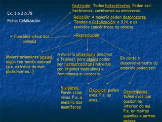 Nutrición: Todos heterótrofos. Poden ser:
                                   Nutrición         heterótrofos
                                   herbívoros, carnívoros ou omnívoros.
Ex. 1 e 2 p.79
                                    Relación: A maioría poden desprazarse.
                                    Relación
Ficha: Cefalización                 Tenden a Cefalización: o S.N. e os
                                              Cefalización
                                    sentidos concéntrase na cabeza.

  Funcións vitais dos                Reprodución:
                                      Reprodución
       animais


                            A maioría unisexuais (machos
Maioritariamente sexual,
                   sexual                                      En canto o
                            e femias), pero algúns poden
algún ten tamén asexual                                        desenvolvemento do
                            ser hermafroditas (individuo
(p.e. estrelas de mar,                                         embrión poden ser:
                            con órganos masculinos e
platelmintos...)
                            femininos;p.e: caracois.


                             Vivíparos:
                                             Ovíparos: poñen    Ovovivíparos:
                             Paren crías
                                             ovos. P.e. as      teñen ovos que
                             vivas. P.e. a
                                             aves.              quedan no
                             maioría dos
                             mamíferos.                         interior da nai.
                                                                P.e. en moitas
                                                                quenllas e outros
 