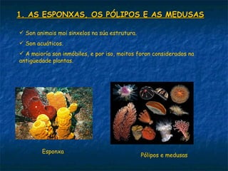 1. AS ESPONXAS, OS PÓLIPOS E AS MEDUSAS

 Son animais moi sinxelos na súa estrutura.
 Son acuáticos.
 A maioría son inmóbiles, e por iso, moitos foron considerados na
antigüedade plantas.




        Esponxa
                                               Pólipos e medusas
 