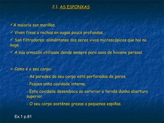 2.1. AS ESPONXAS



A maioría son mariñas.
 Viven fixas a rochas en augas pouco profundas.
 Son filtradores: aliméntanse dos seres vivos microscópicos que hai na
auga.
 A súa armazón utilízase dende sempre para usos de hixiene persoal.



 Como é o seu corpo:
        - As paredes do seu corpo está perforadas de poros.
        - Posúen unha cavidade interna.
        - Esta cavidade desemboca ao exterior a tarvés dunha abertura
        superior.
        - O seu corpo sosténse grazas a pequenas espiñas.


  Ex.1 p.81
 