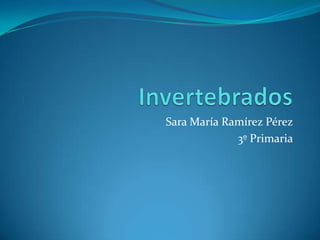 Invertebrados Sara María Ramírez Pérez 3º Primaria 