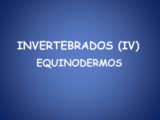 INVERTEBRADOS (IV)
EQUINODERMOS
 