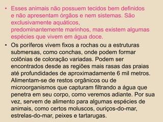 Esses animais não possuem tecidos bem definidos e não apresentam órgãos e nem sistemas. São exclusivamente aquáticos, predominantemente marinhos, mas existem algumas espécies que vivem em água doce.Os poríferos vivem fixos a rochas ou a estruturas submersas, como conchas, onde podem formar colônias de coloração variadas. Podem ser encontrados desde as regiões mais rasas das praias até profundidades de aproximadamente 6 mil metros. Alimentam-se de restos orgânicos ou de microorganismos que capturam filtrando a água que penetra em seu corpo, como veremos adiante. Por sua vez, servem de alimento para algumas espécies de animais, como certos moluscos, ouriços-do-mar, estrelas-do-mar, peixes e tartarugas.