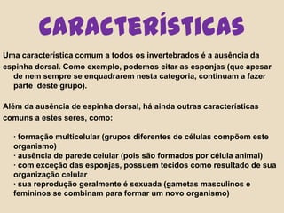 Características Uma característica comum a todos os invertebrados é a ausência daespinha dorsal. Como exemplo, podemos citar as esponjas (que apesar de nem sempre se enquadrarem nesta categoria, continuam a fazer parte  deste grupo).Além da ausência de espinha dorsal, há ainda outras características comuns a estes seres, como: · formação multicelular (grupos diferentes de células compõem este organismo)· ausência de parede celular (pois são formados por célula animal)· com exceção das esponjas, possuem tecidos como resultado de sua organização celular· sua reprodução geralmente é sexuada (gametas masculinos e femininos se combinam para formar um novo organismo)
