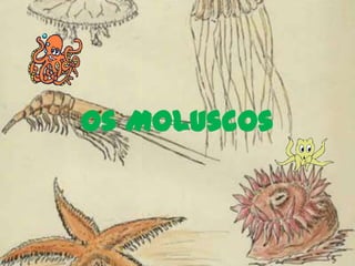 Os Moluscos 