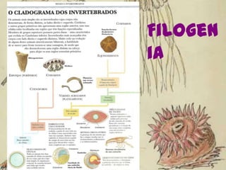 Filogenia
