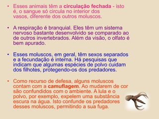 Esses animais têm a circulação fechada - isto é, o sangue só circula no interior dos vasos, diferente dos outros moluscos.A respiração é branquial. Eles têm um sistema nervoso bastante desenvolvido se comparado ao de outros invertebrados. Além da visão, o olfato é bem apurado.Esses moluscos, em geral, têm sexos separados e a fecundação é interna. Há pesquisas que indicam que algumas espécies de polvo cuidam dos filhotes, protegendo-os dos predadores.Como recurso de defesa, alguns moluscos contam com a camuflagem. Ao mudarem de cor são confundidos com o ambiente. A lula e o polvo, por exemplo, expelem uma substância escura na água. Isto confunde os predadores desses moluscos, permitindo a sua fuga.