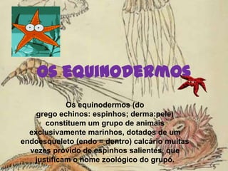 Os equinodermosOs equinodermos (do grego echinos: espinhos; derma:pele) constituem um grupo de animais exclusivamente marinhos, dotados de um endoesqueleto (endo = dentro) calcário muitas vezes provido de espinhos salientes, que justificam o nome zoológico do grupo.