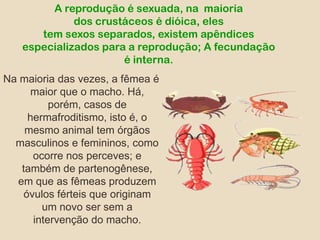 A reprodução é sexuada, na  maioria dos crustáceos é dióica, eles tem sexos separados, existem apêndices especializados para a reprodução;A fecundação é interna.Na maioria das vezes, a fêmea é maior que o macho. Há, porém, casos de hermafroditismo, isto é, o mesmo animal tem órgãos masculinos e femininos, como ocorre nos perceves; e também de partenogênese, em que as fêmeas produzem óvulos férteis que originam um novo ser sem a intervenção do macho.