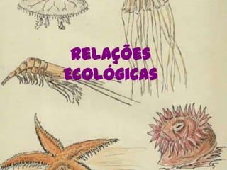 Relações Ecológicas