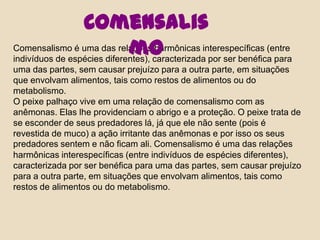 ComensalismoComensalismo é uma das relações harmônicas interespecíficas (entre indivíduos de espécies diferentes), caracterizada por ser benéfica para uma das partes, sem causar prejuízo para a outra parte, em situações que envolvam alimentos, tais como restos de alimentos ou do metabolismo.O peixe palhaço vive em uma relação de comensalismo com as anêmonas. Elas lhe providenciam o abrigo e a proteção. O peixe trata de se esconder de seus predadores lá, já que ele não sente (pois é revestida de muco) a ação irritante das anêmonas e por isso os seus predadores sentem e não ficam ali.Comensalismo é uma das relações harmônicas interespecíficas (entre indivíduos de espécies diferentes), caracterizada por ser benéfica para uma das partes, sem causar prejuízo para a outra parte, em situações que envolvam alimentos, tais como restos de alimentos ou do metabolismo.