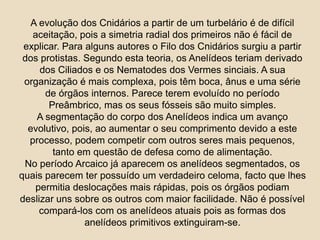 A evolução dos Cnidários a partir de um turbelário é de difícil aceitação, pois a simetria radial dos primeiros não é fácil de explicar. Para alguns autores o Filo dos Cnidários surgiu a partir dos protistas. Segundo esta teoria, os Anelídeos teriam derivado dos Ciliados e os Nematodes dos Vermes sinciais. A sua organização é mais complexa, pois têm boca, ânus e uma série de órgãos internos. Parece terem evoluído no período Preâmbrico, mas os seus fósseis são muito simples.A segmentação do corpo dos Anelídeos indica um avanço evolutivo, pois, ao aumentar o seu comprimento devido a este processo, podem competir com outros seres mais pequenos, tanto em questão de defesa como de alimentação.No período Arcaico já aparecem os anelídeos segmentados, os quais parecem ter possuído um verdadeiro celoma, facto que lhes permitia deslocações mais rápidas, pois os órgãos podiam deslizar uns sobre os outros com maior facilidade. Não é possível compará-los com os anelídeos atuais pois as formas dos anelídeos primitivos extinguiram-se.