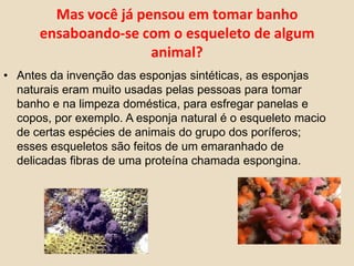 Mas você já pensou em tomar banho ensaboando-se com o esqueleto de algum animal?Antes da invenção das esponjas sintéticas, as esponjas naturais eram muito usadas pelas pessoas para tomar banho e na limpeza doméstica, para esfregar panelas e copos, por exemplo. A esponja natural é o esqueleto macio de certas espécies de animais do grupo dos poríferos; esses esqueletos são feitos de um emaranhado de delicadas fibras de uma proteína chamada espongina.