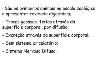 - São os primeiros animais na escala zoológica
a apresentar cavidade digestória;
- Trocas gasosas feitas através da
superfície corporal, por difusão;
- Excreção através da superfície corporal;
- Sem sistema circulatório;
- Sistema Nervoso Difuso.
 