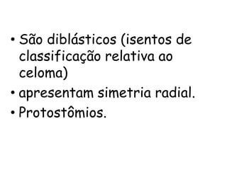 • São diblásticos (isentos de
  classificação relativa ao
  celoma)
• apresentam simetria radial.
• Protostômios.
 